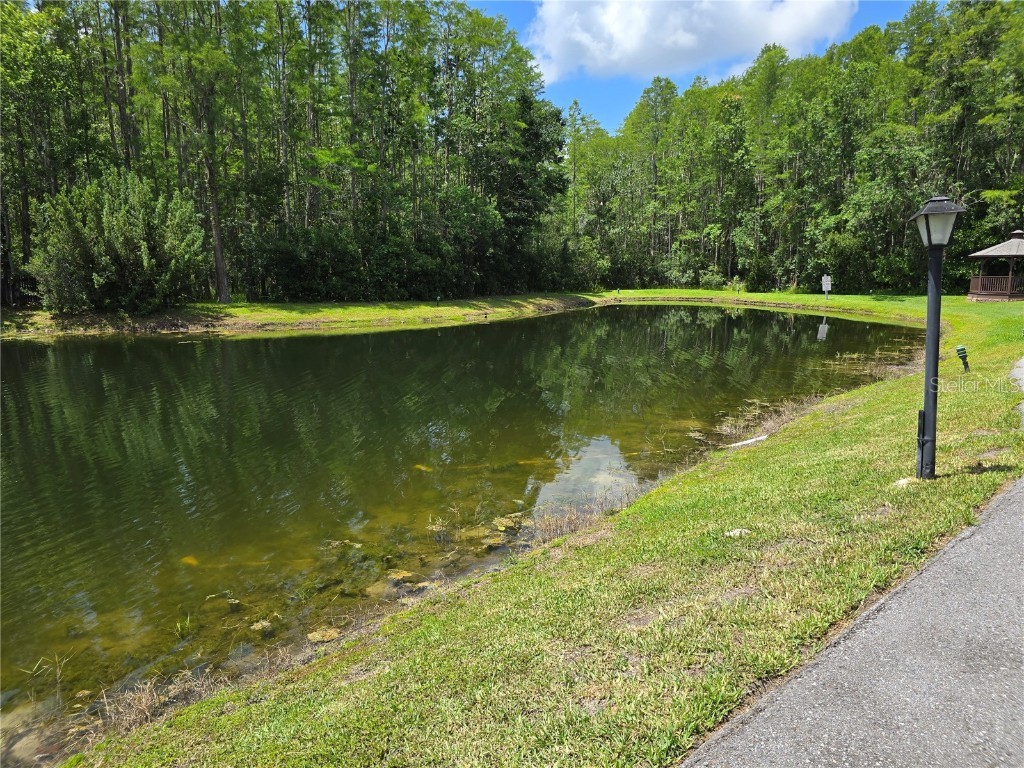 1281 Pine Ridge Circle E #B1 Tarpon Springs FL 34688 TB8396062 image6