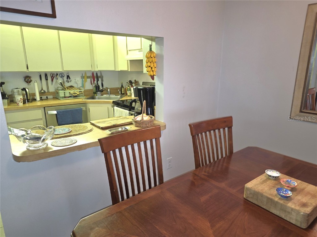 1281 Pine Ridge Circle E #E1 Tarpon Springs FL 34688 W7879919 image4