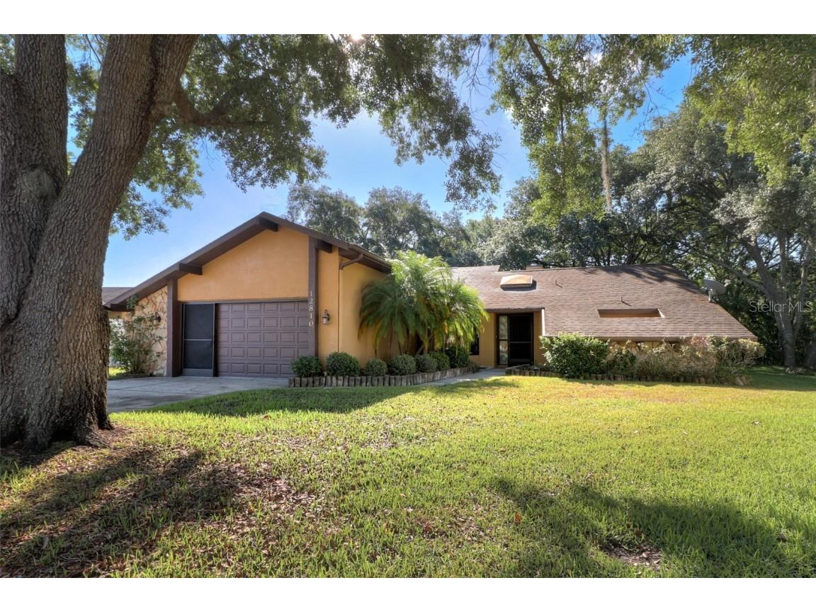 12810 Lake Tree Lane Hudson FL 34669 T3434290 image1