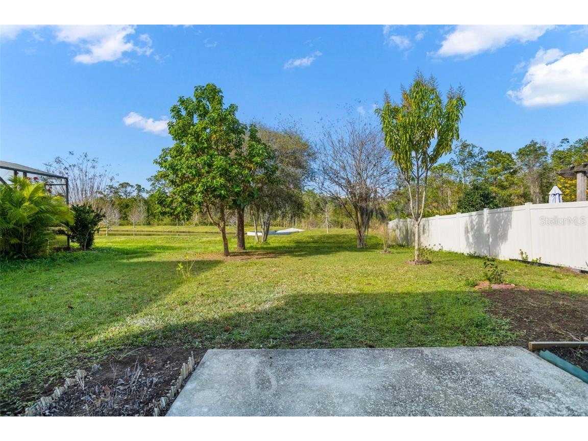 12810 Moss Park Ridge Drive Orlando FL 32832 O6320270 image39