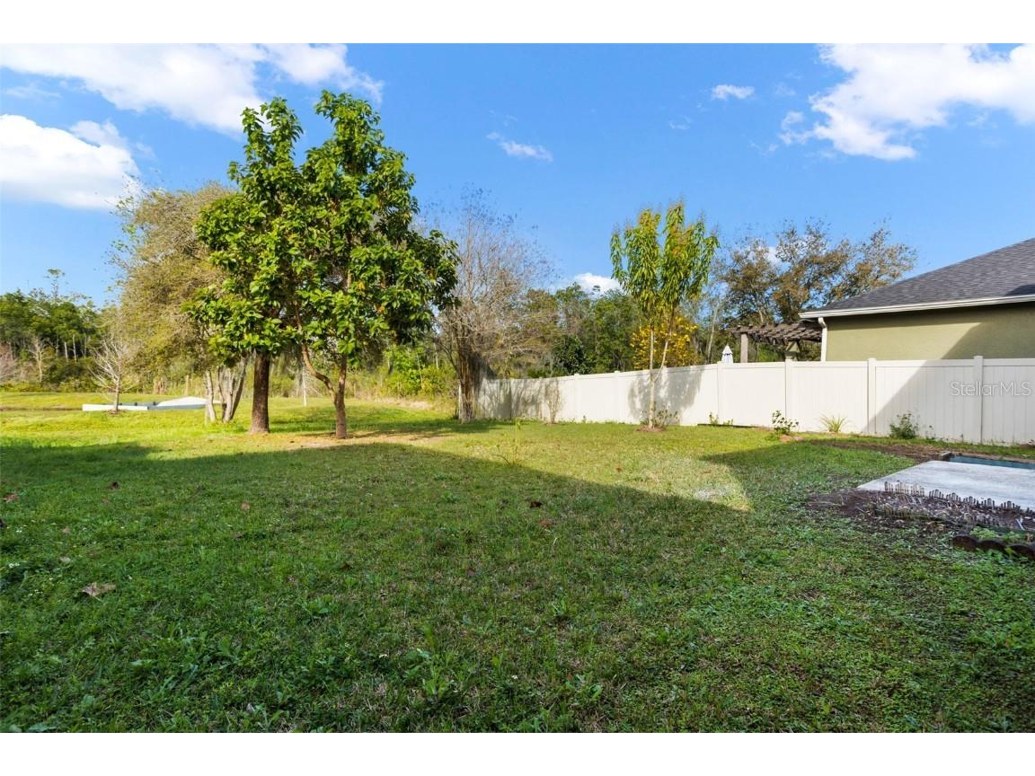 12810 Moss Park Ridge Drive Orlando FL 32832 O6320270 image40