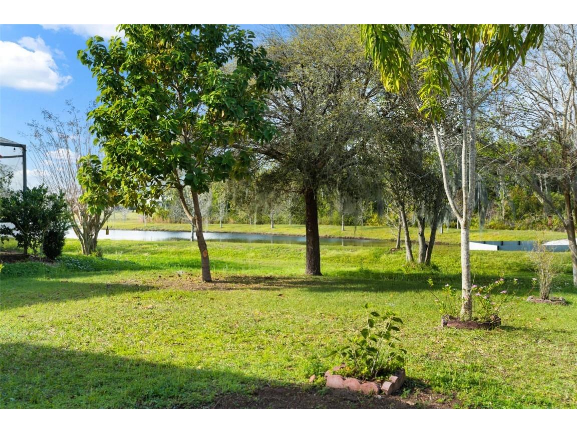 12810 Moss Park Ridge Drive Orlando FL 32832 O6320270 image41