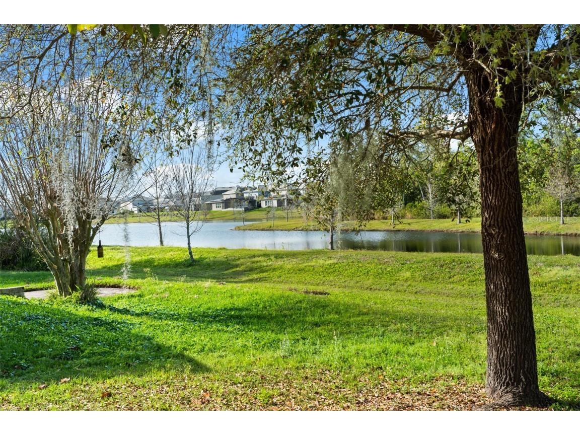 12810 Moss Park Ridge Drive Orlando FL 32832 O6320270 image43