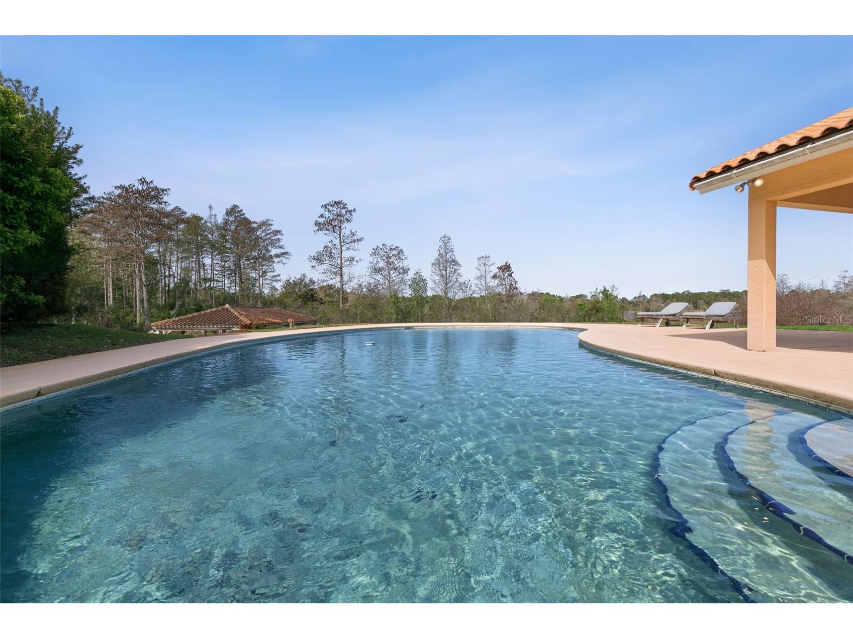 12811 Bellerive Drive Clermont FL 34711 - LAKE OLSEN O6391689 image27