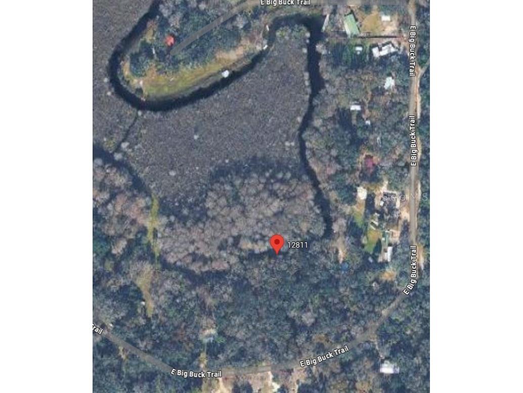 12811 E Big Buck Trail Floral City FL 34436 O6376952 image2