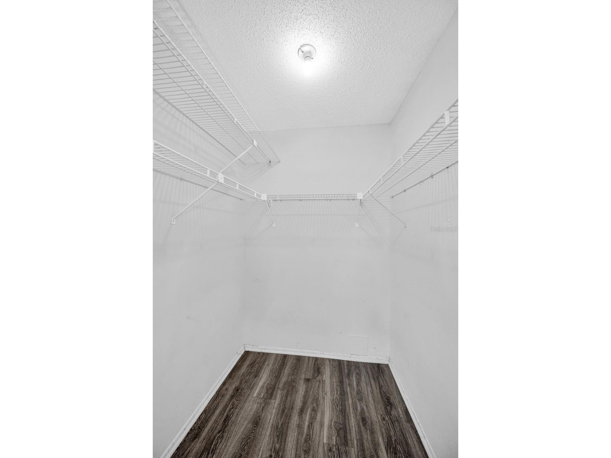 12813 Kellywood Circle Hudson FL 34669 TB8476286 image14
