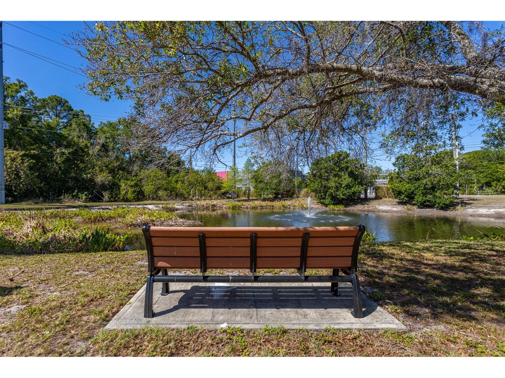12814 Twin Branch Acres Road Tampa FL 33626 TB8498750 image5