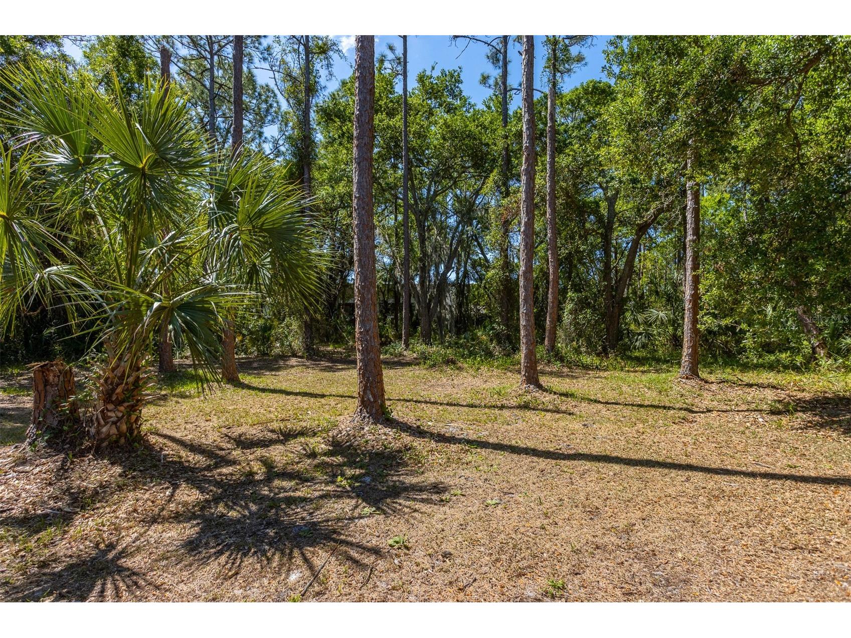 12814 Twin Branch Acres Road Tampa FL 33626 TB8498750 image50
