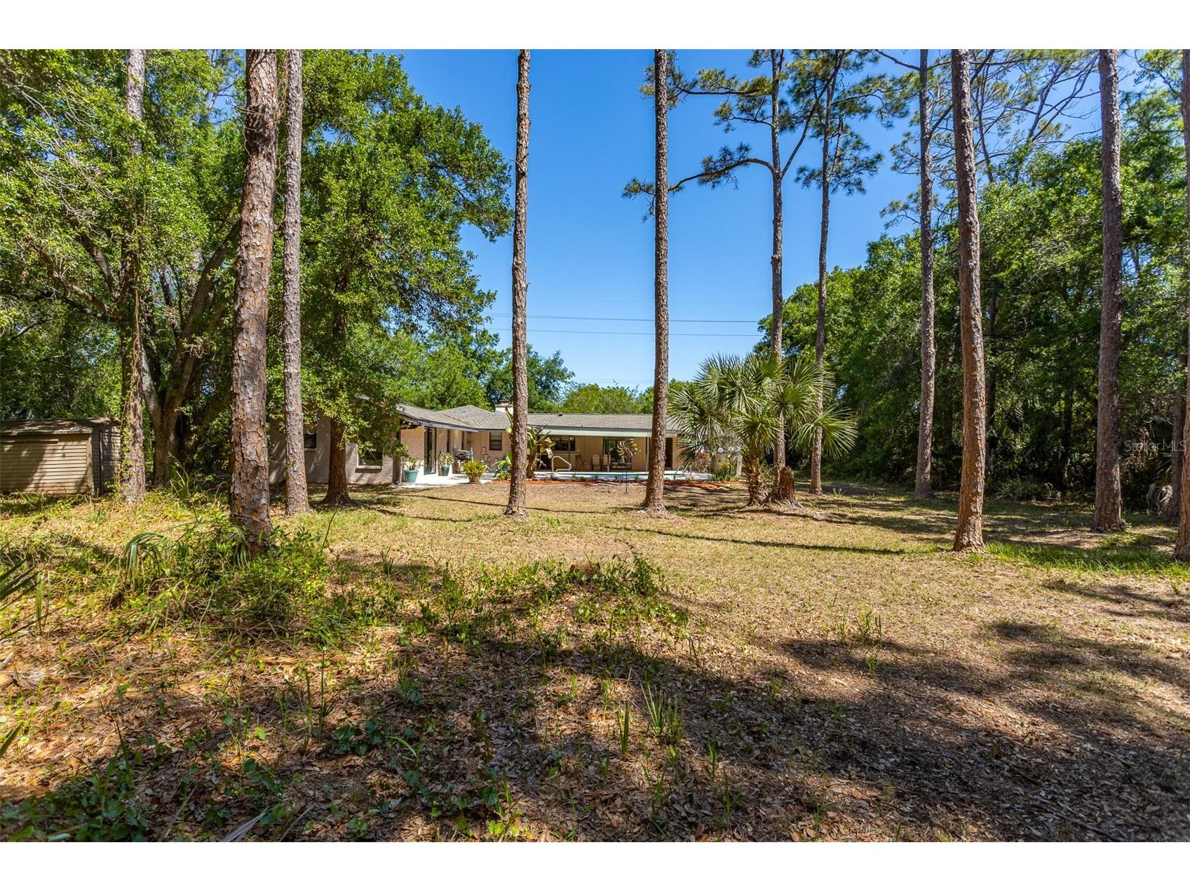 12814 Twin Branch Acres Road Tampa FL 33626 TB8498750 image51