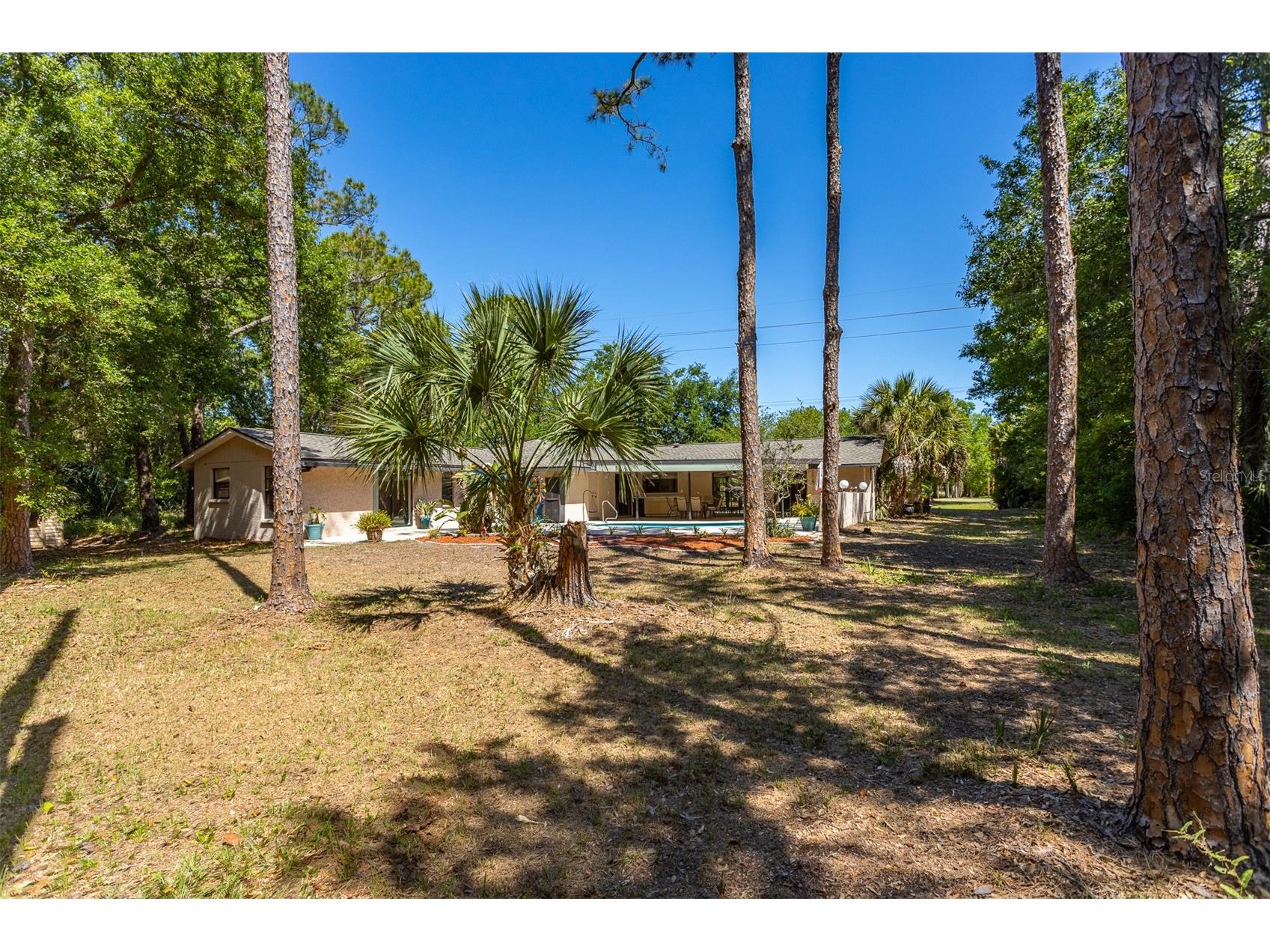 12814 Twin Branch Acres Road Tampa FL 33626 TB8498750 image52