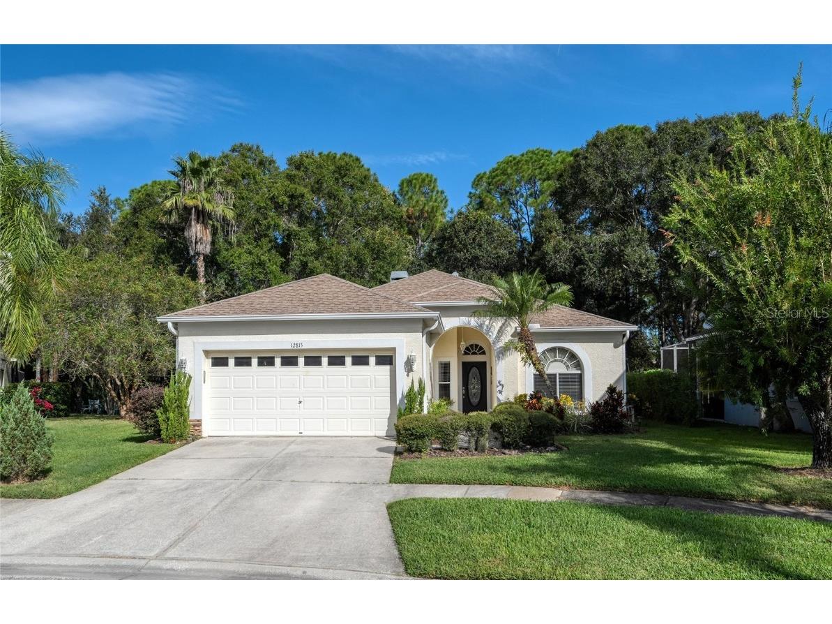 12815 Killarney Court Odessa FL 33556 U8216433 image1
