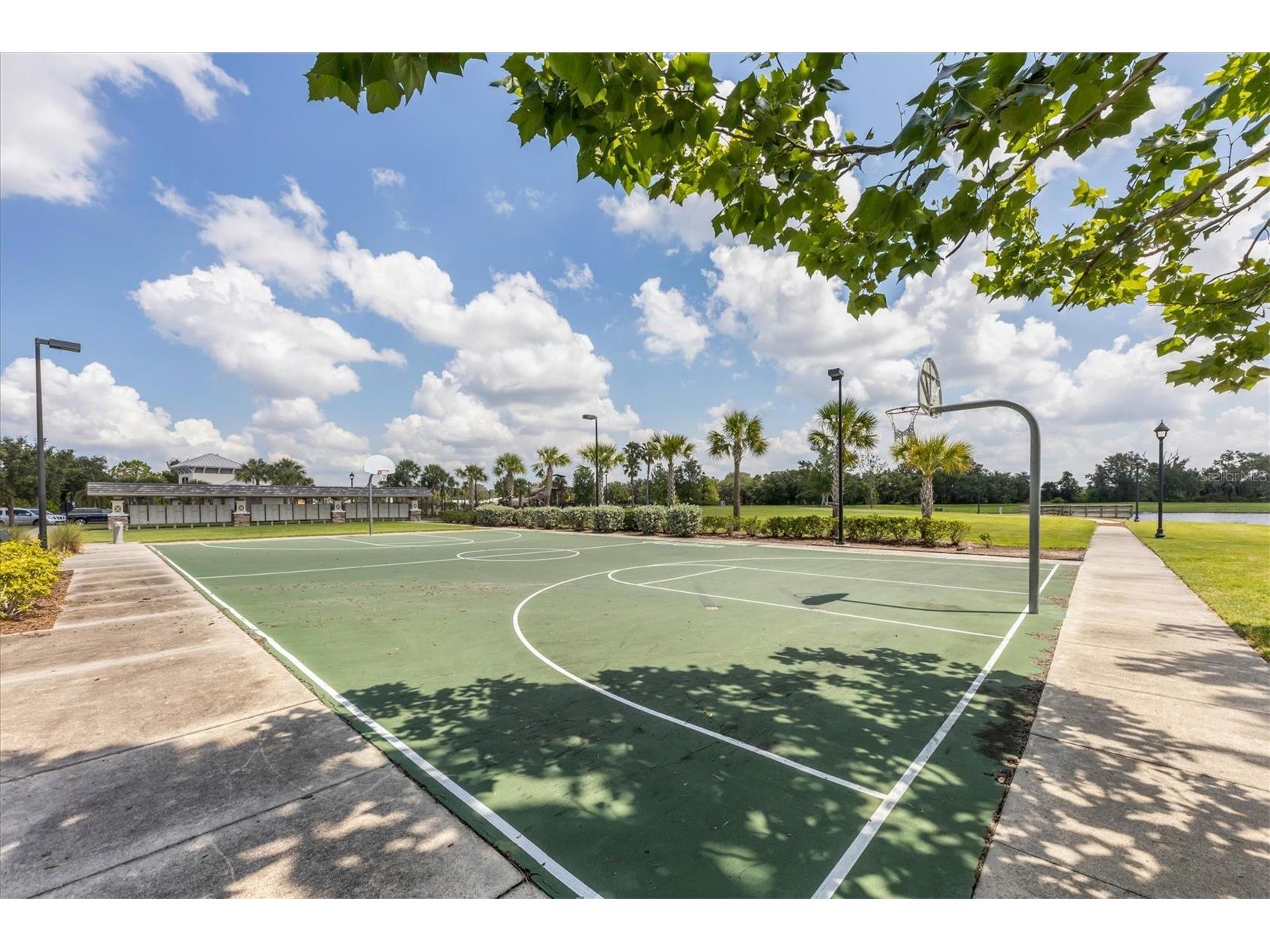 12815 Rainwashed Loop Parrish FL 34219 A4689831 image54