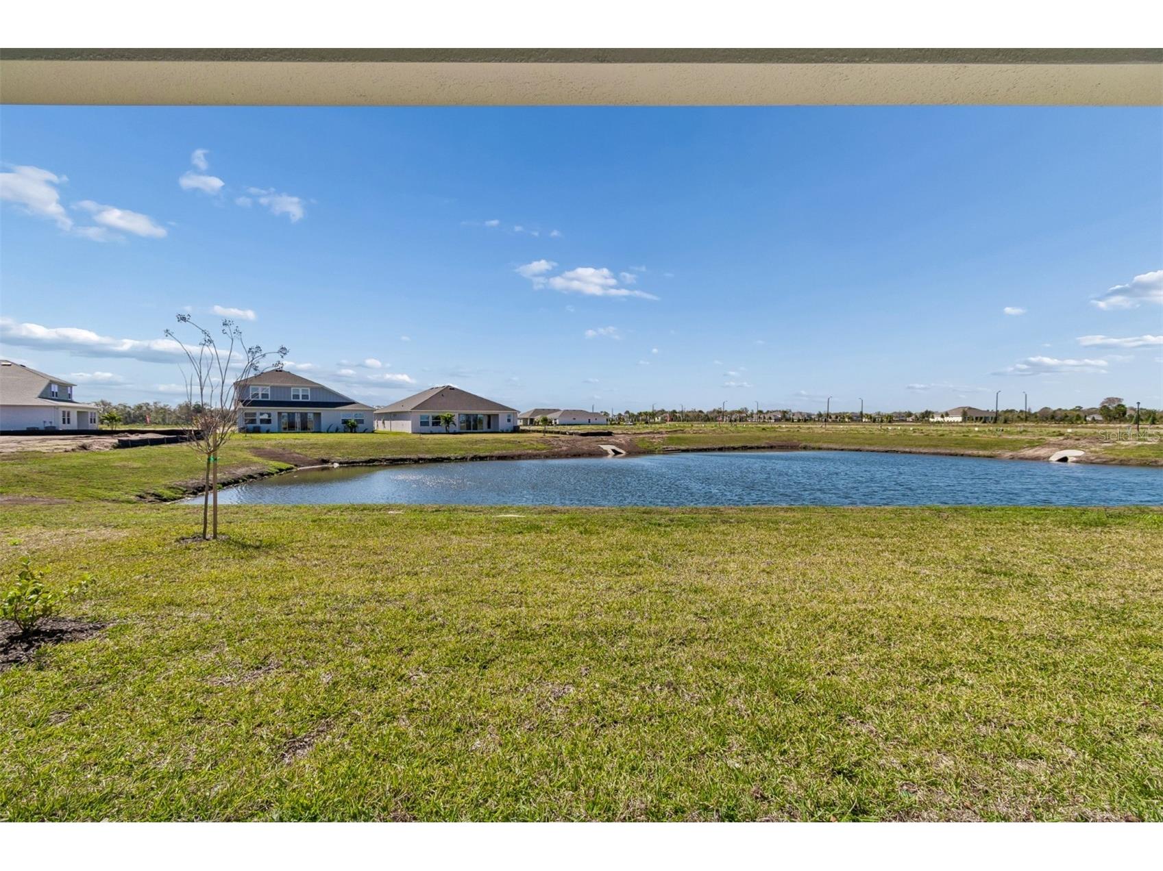 12815 Salty Dog Crossing Palmetto FL 34221 TB8443576 image50