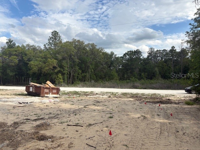 12815 SW 94th Lane Dunnellon FL 34432 OM723586 image12
