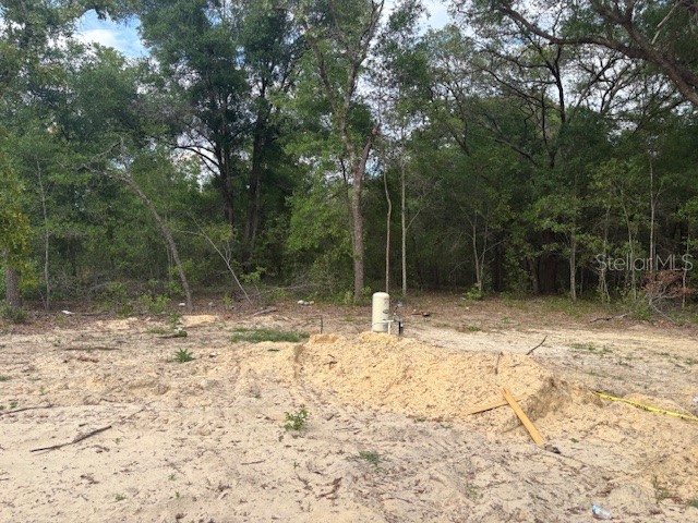 12815 SW 94th Lane Dunnellon FL 34432 OM723586 image7