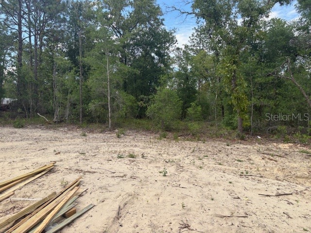 12815 SW 94th Lane Dunnellon FL 34432 OM723586 image8