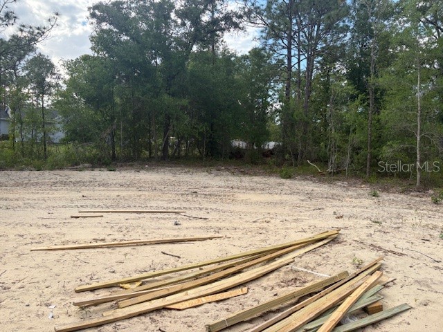 12815 SW 94th Lane Dunnellon FL 34432 OM723586 image9