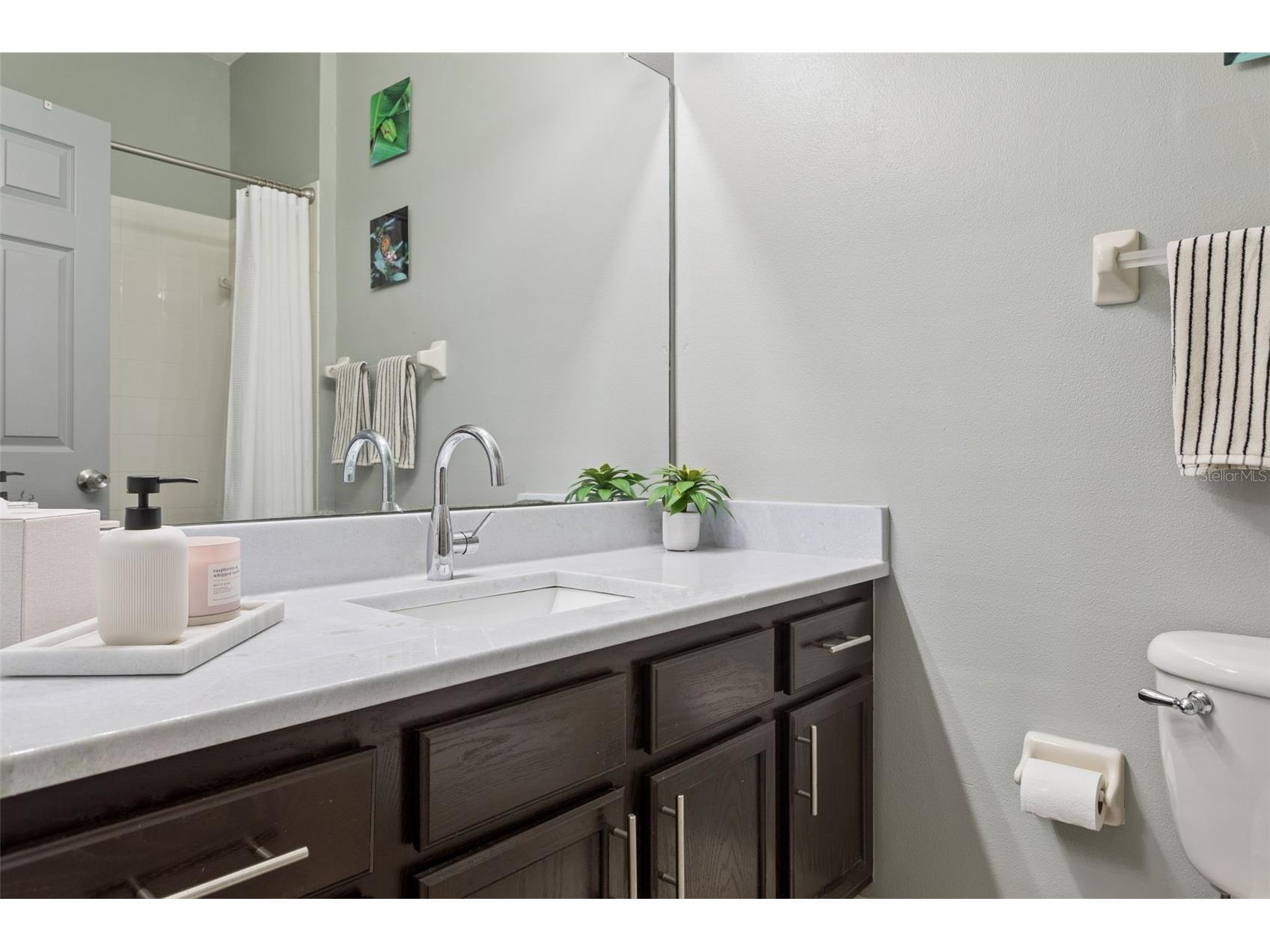 12816 Cattail Shore Lane Riverview FL 33579 TB8528152 image25