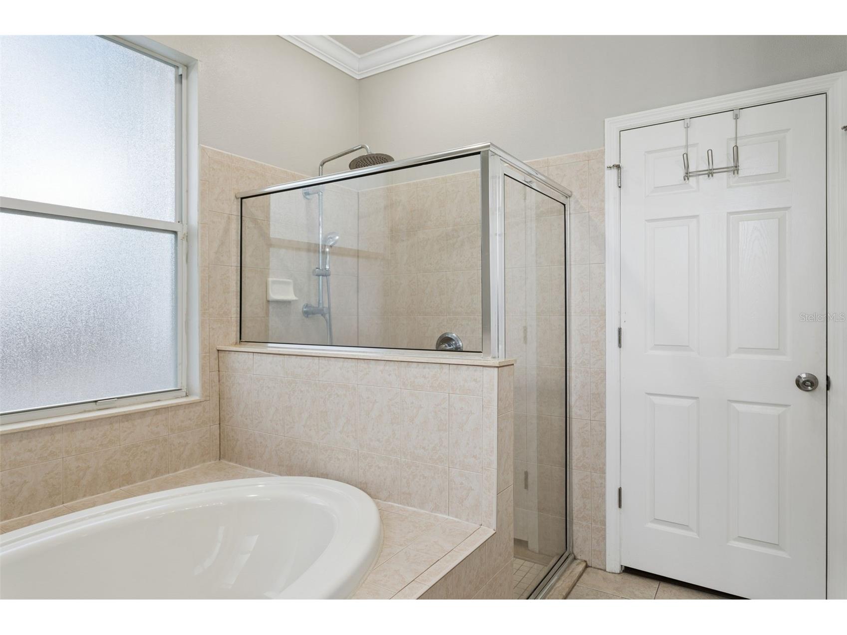 12816 Cattail Shore Lane Riverview FL 33579 TB8528152 image34
