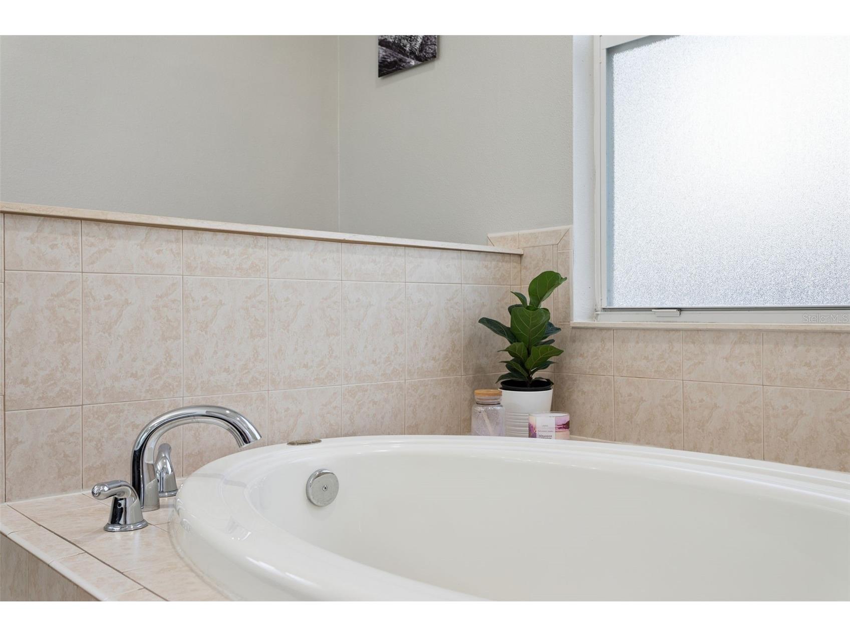 12816 Cattail Shore Lane Riverview FL 33579 TB8528152 image35