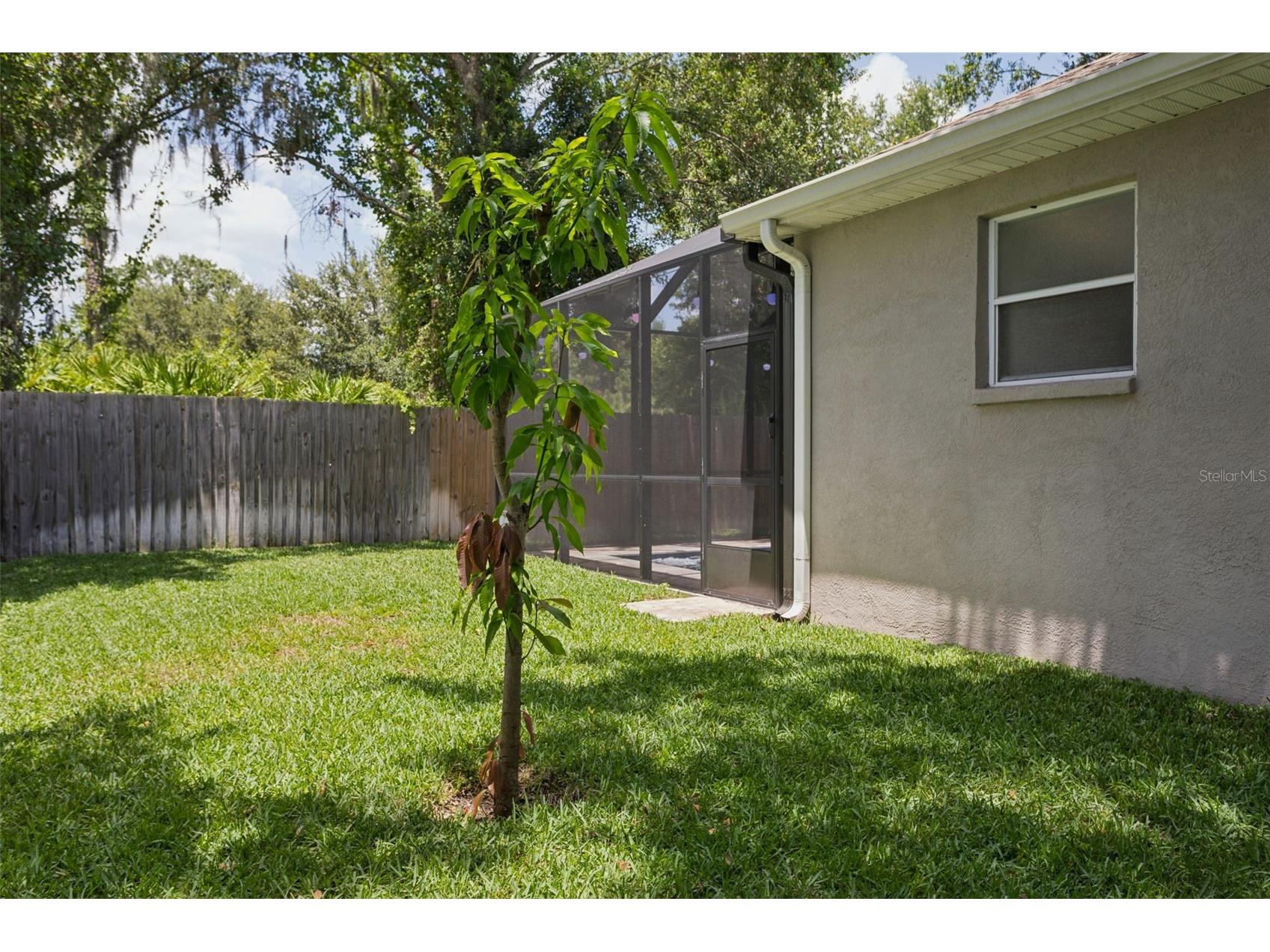 12816 Cattail Shore Lane Riverview FL 33579 TB8528152 image52