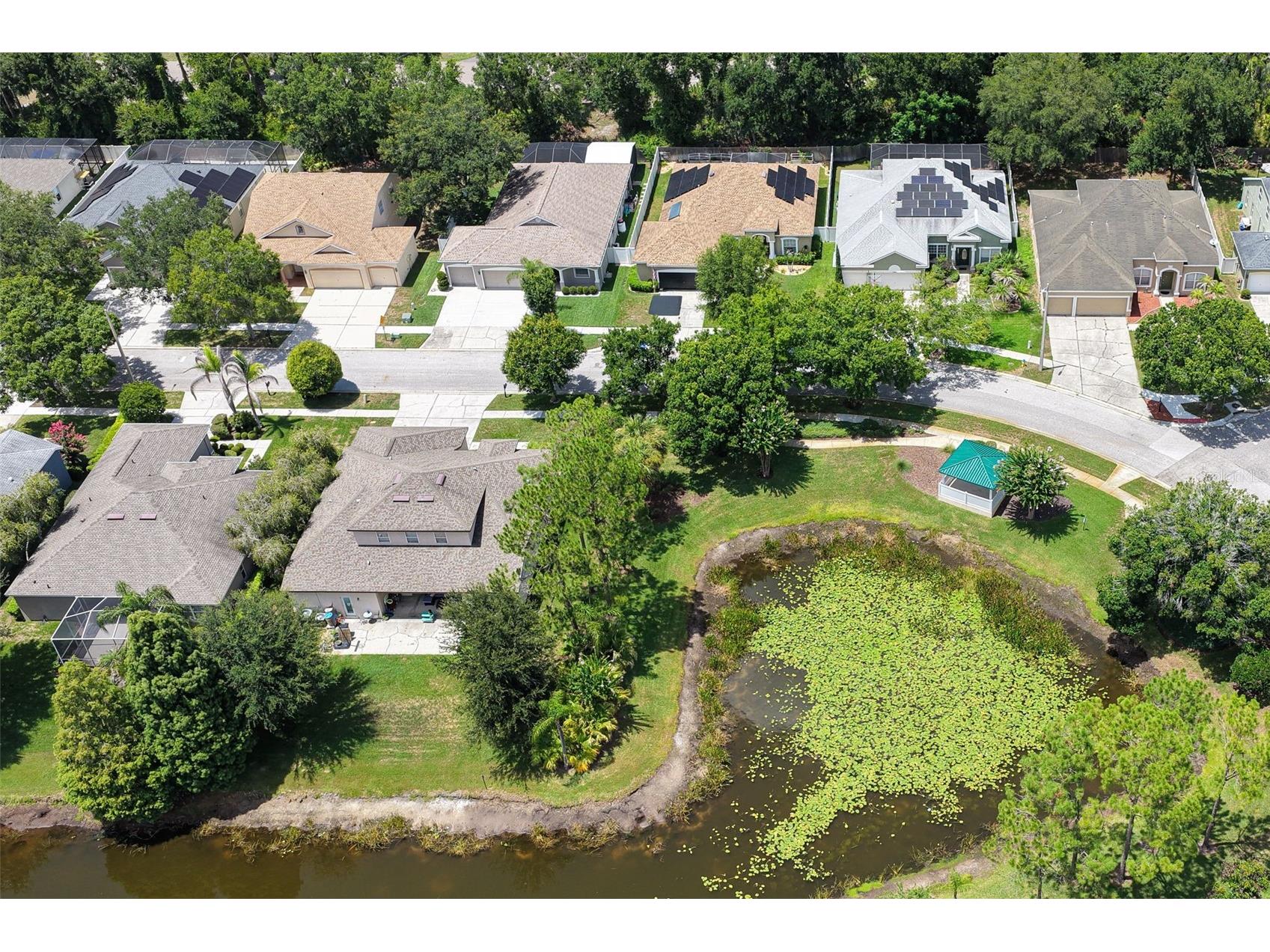 12816 Cattail Shore Lane Riverview FL 33579 TB8528152 image60