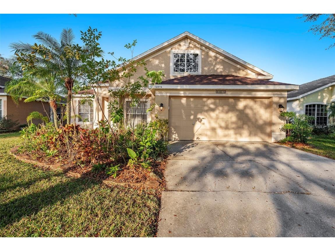 12816 Pacifica Place Tampa FL 33625 TB8348765 image1