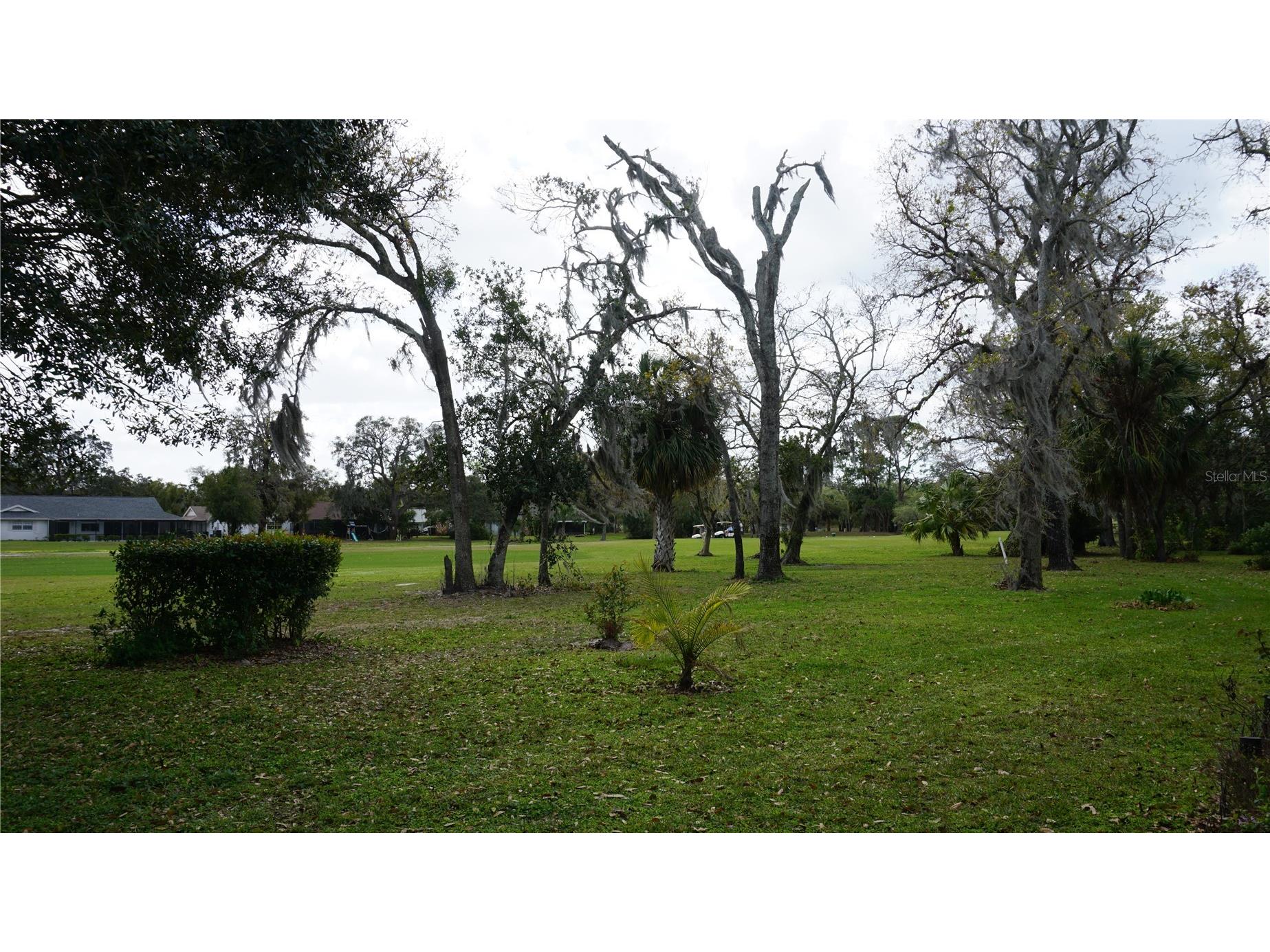 12816 Wedgewood Way #D Hudson FL 34667 W7873214 image4