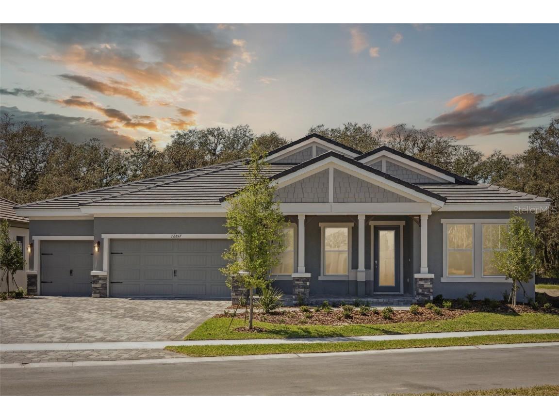 12817 Daleridge Place Riverview FL 33579 TB8363272 image1