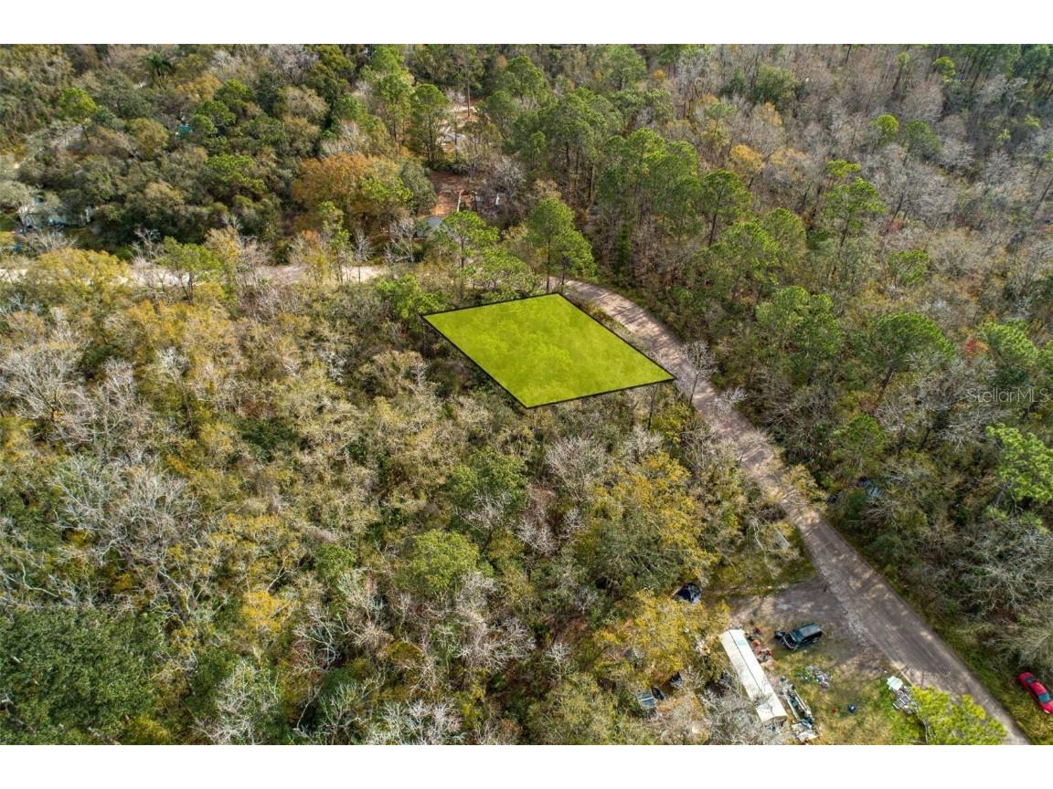 12817 Morton Street New Port Richey FL 34654 T3441088 image1