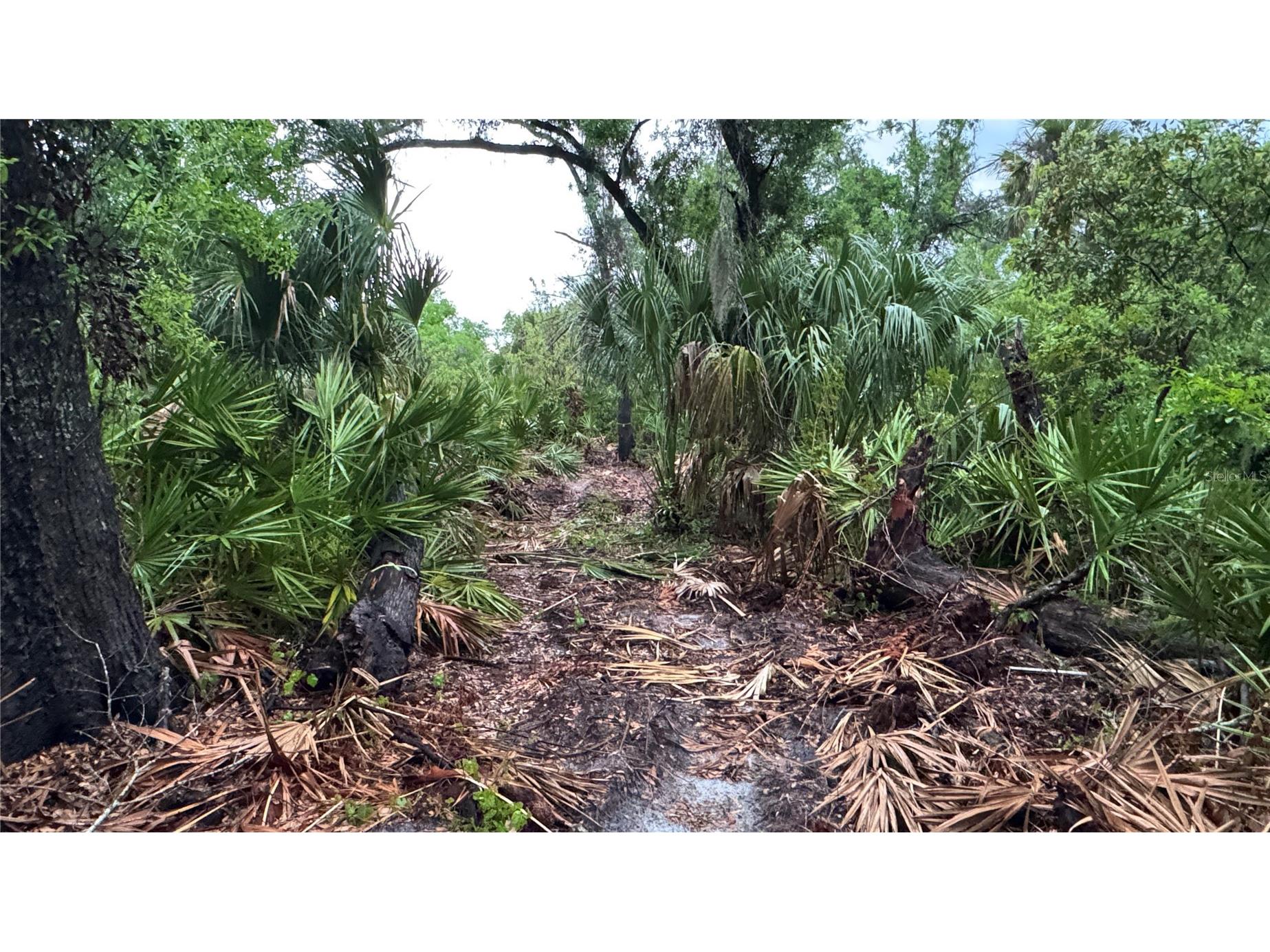 12817 Upper Manatee River Road Bradenton FL 34212 - Mill Creek A4685796 image10