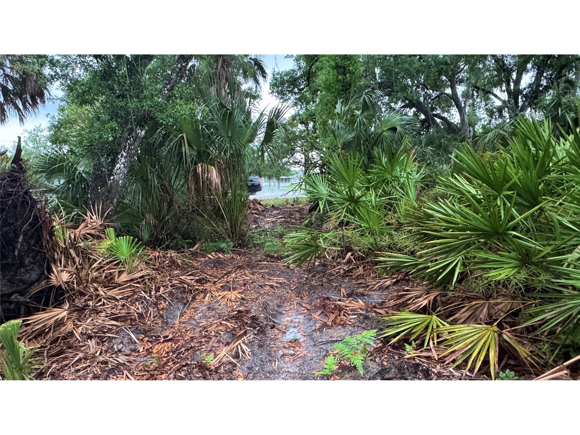 12817 Upper Manatee River Road Bradenton FL 34212 - Mill Creek A4685796 image11