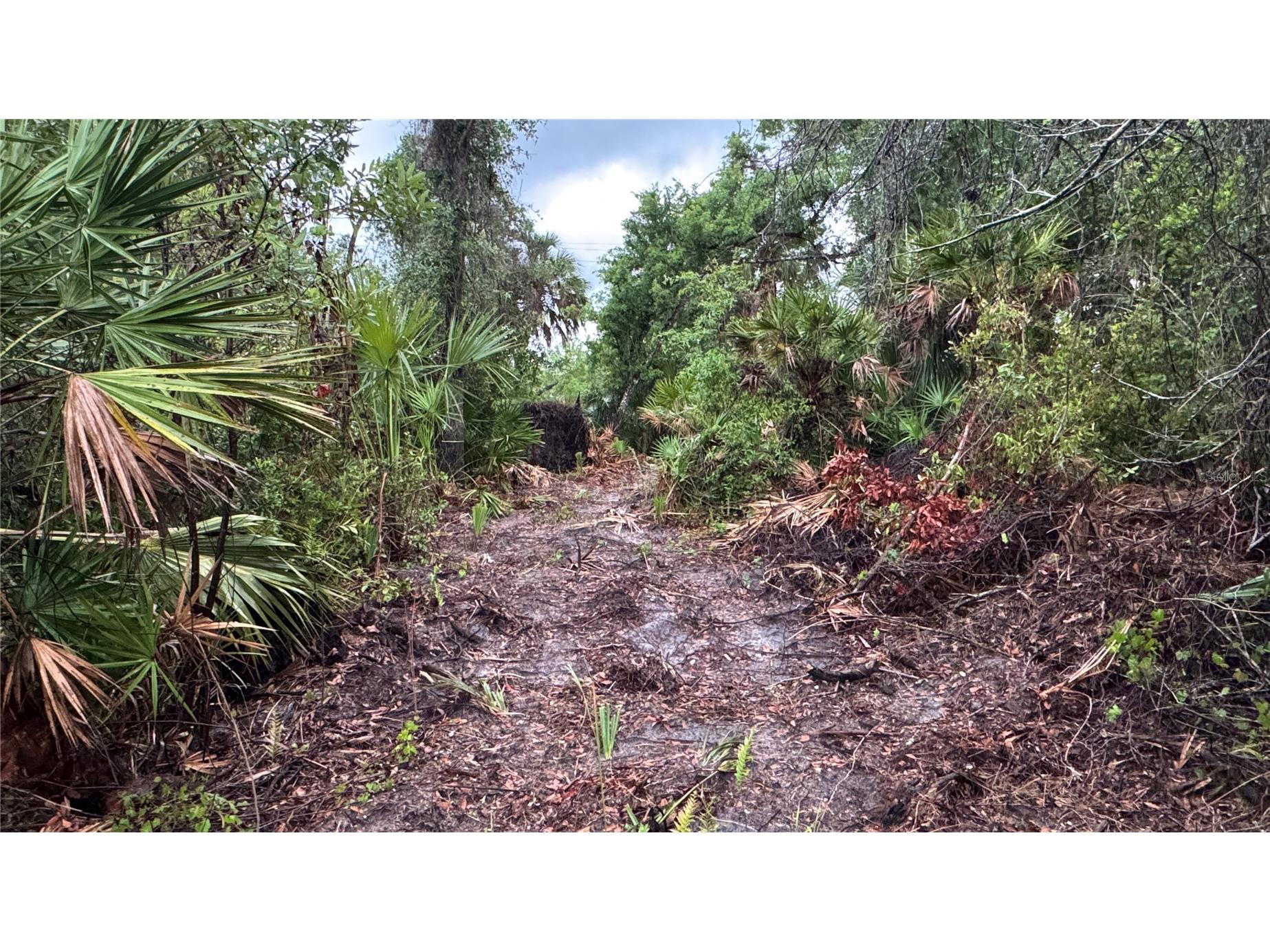 12817 Upper Manatee River Road Bradenton FL 34212 - Mill Creek A4685796 image12