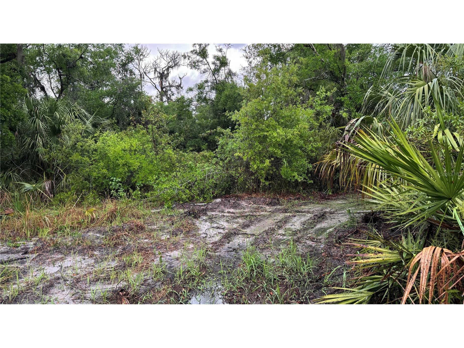 12817 Upper Manatee River Road Bradenton FL 34212 - Mill Creek A4685796 image13