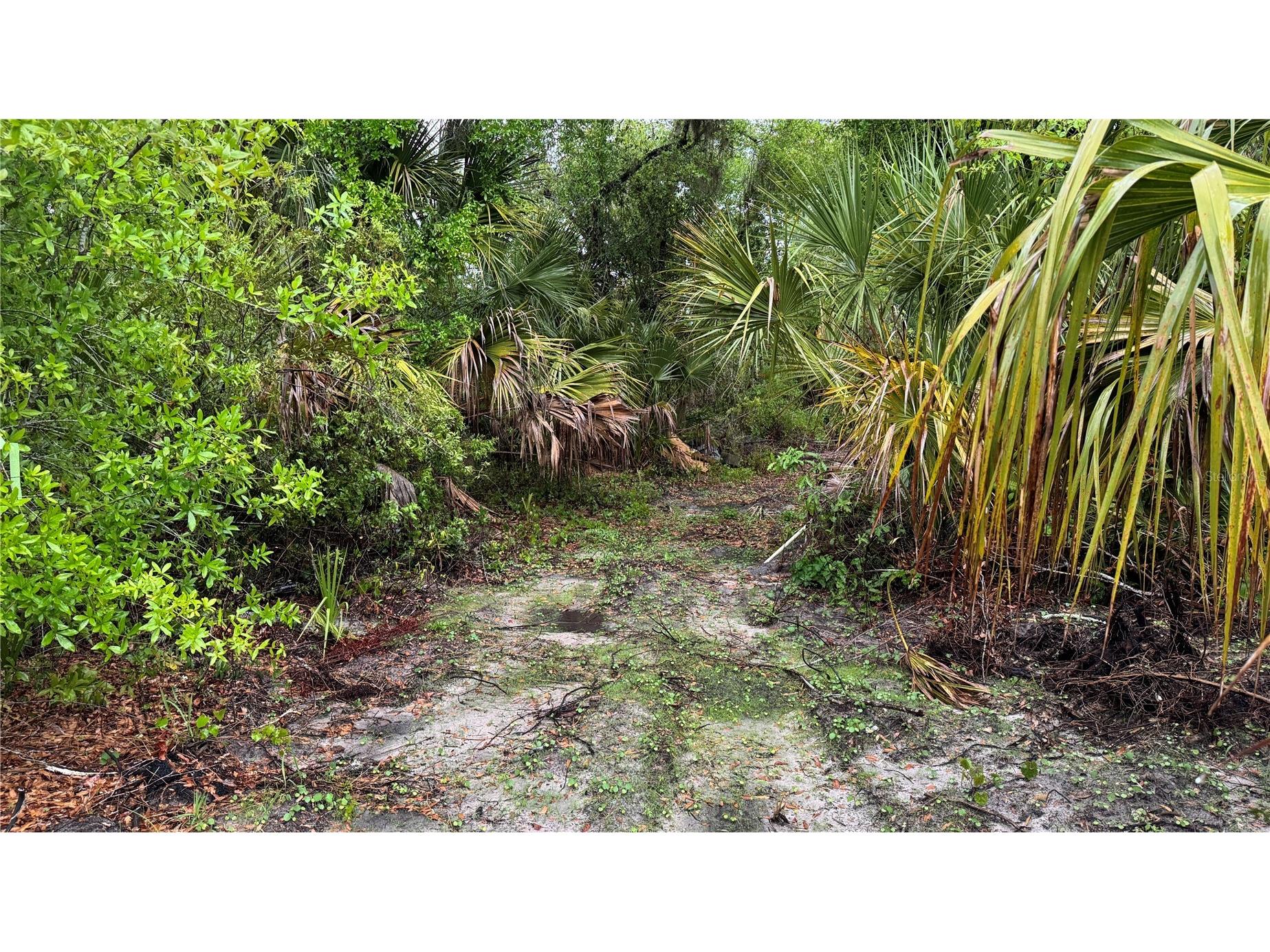 12817 Upper Manatee River Road Bradenton FL 34212 - Mill Creek A4685796 image14