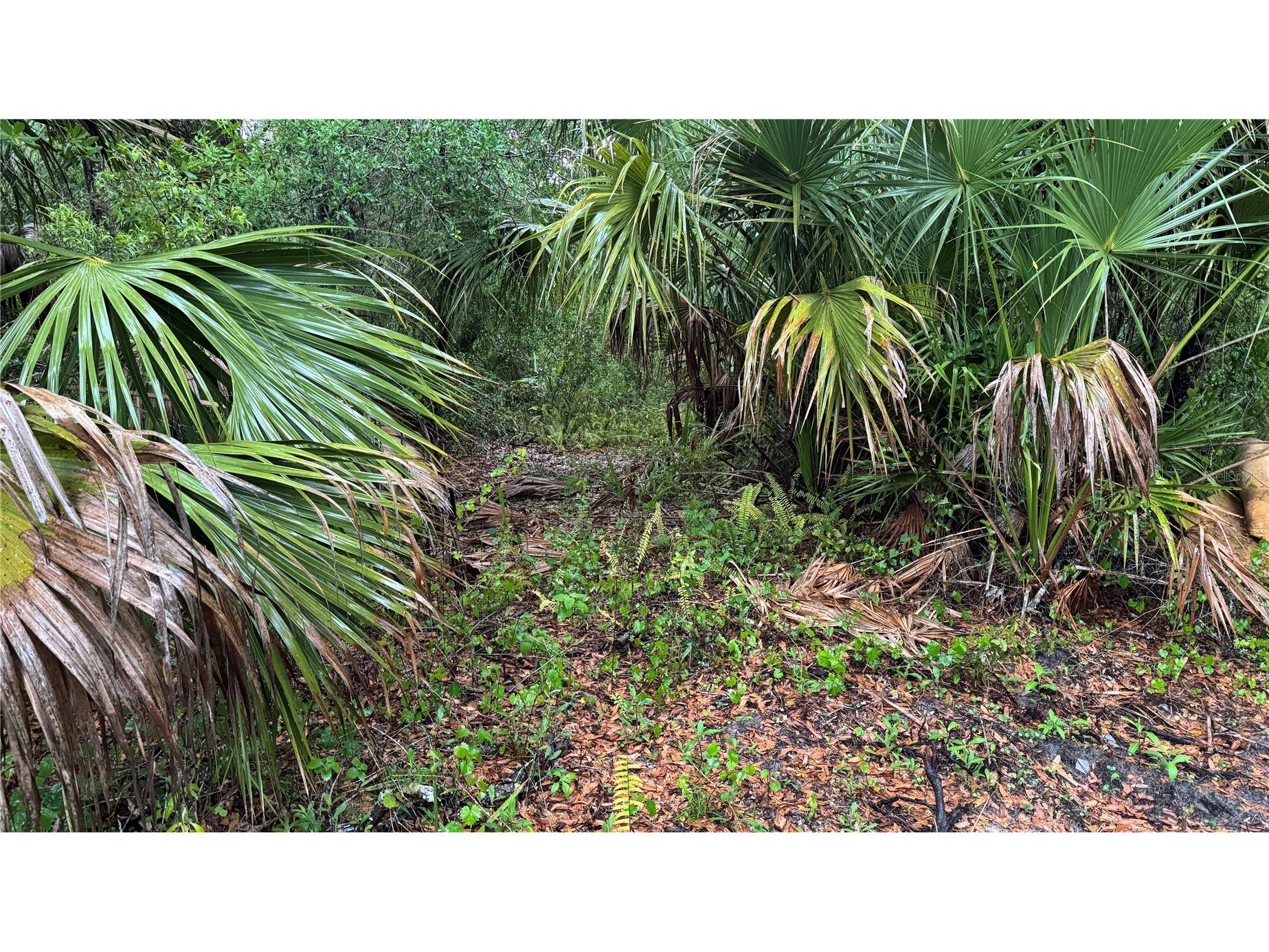 12817 Upper Manatee River Road Bradenton FL 34212 - Mill Creek A4685796 image15