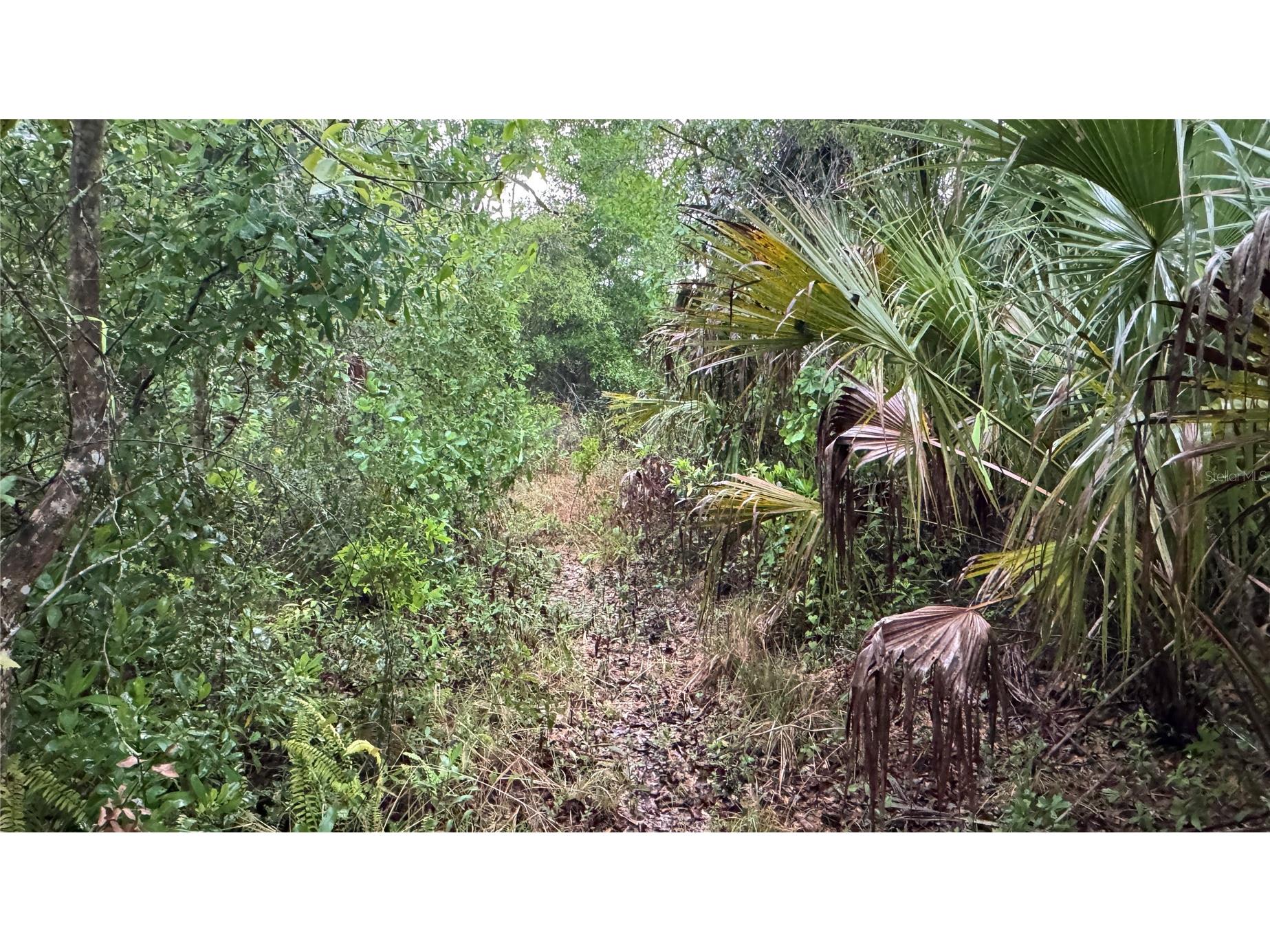 12817 Upper Manatee River Road Bradenton FL 34212 - Mill Creek A4685796 image16