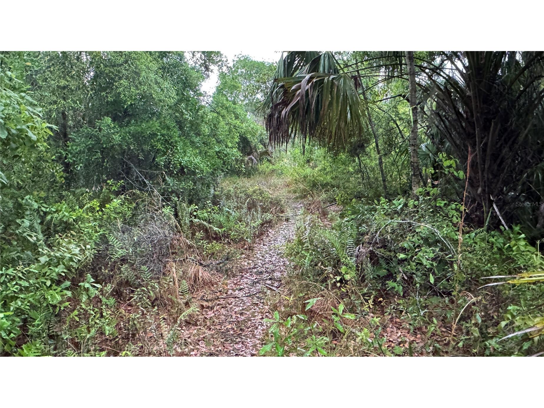 12817 Upper Manatee River Road Bradenton FL 34212 - Mill Creek A4685796 image17
