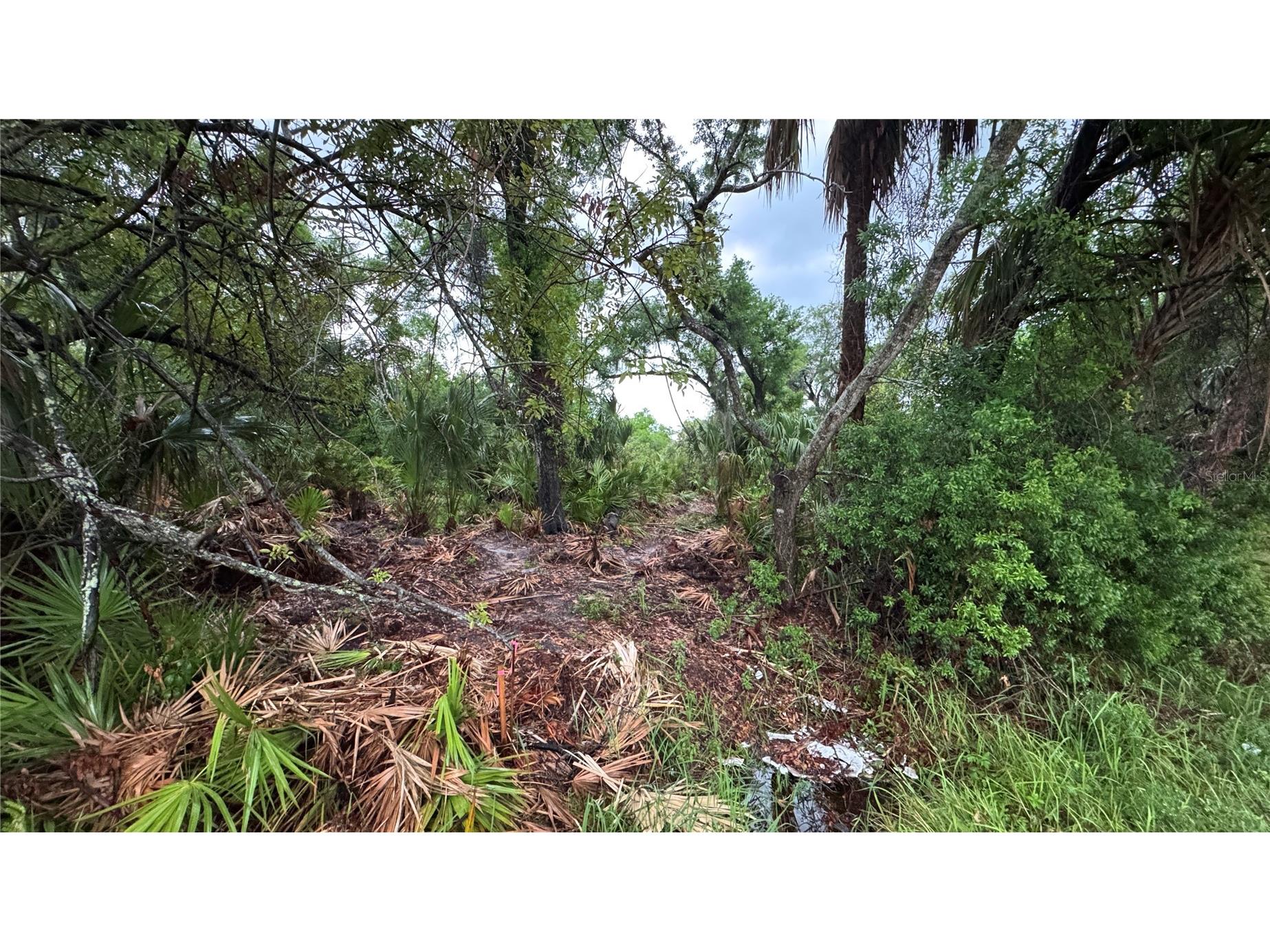 12817 Upper Manatee River Road Bradenton FL 34212 - Mill Creek A4685796 image8