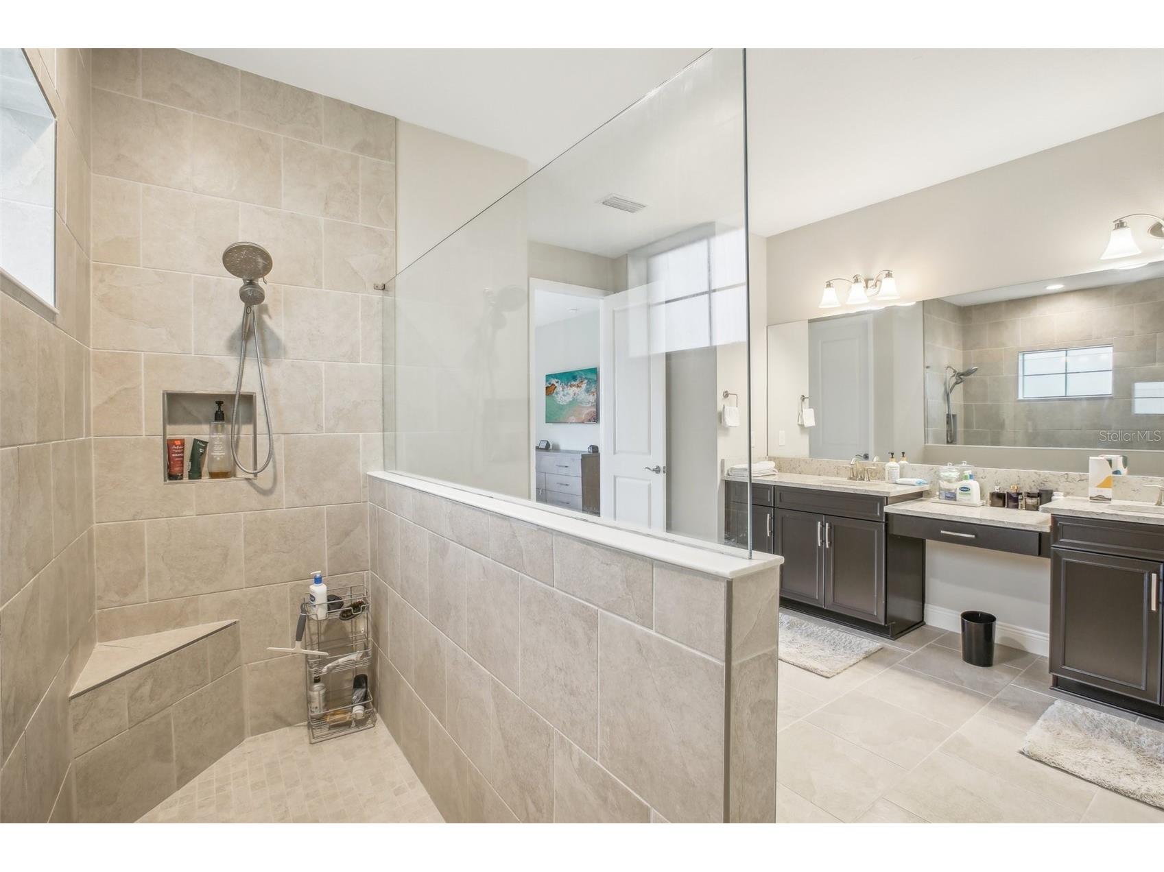 12818 Boggy Creek Drive Riverview FL 33579 TB8464013 image21