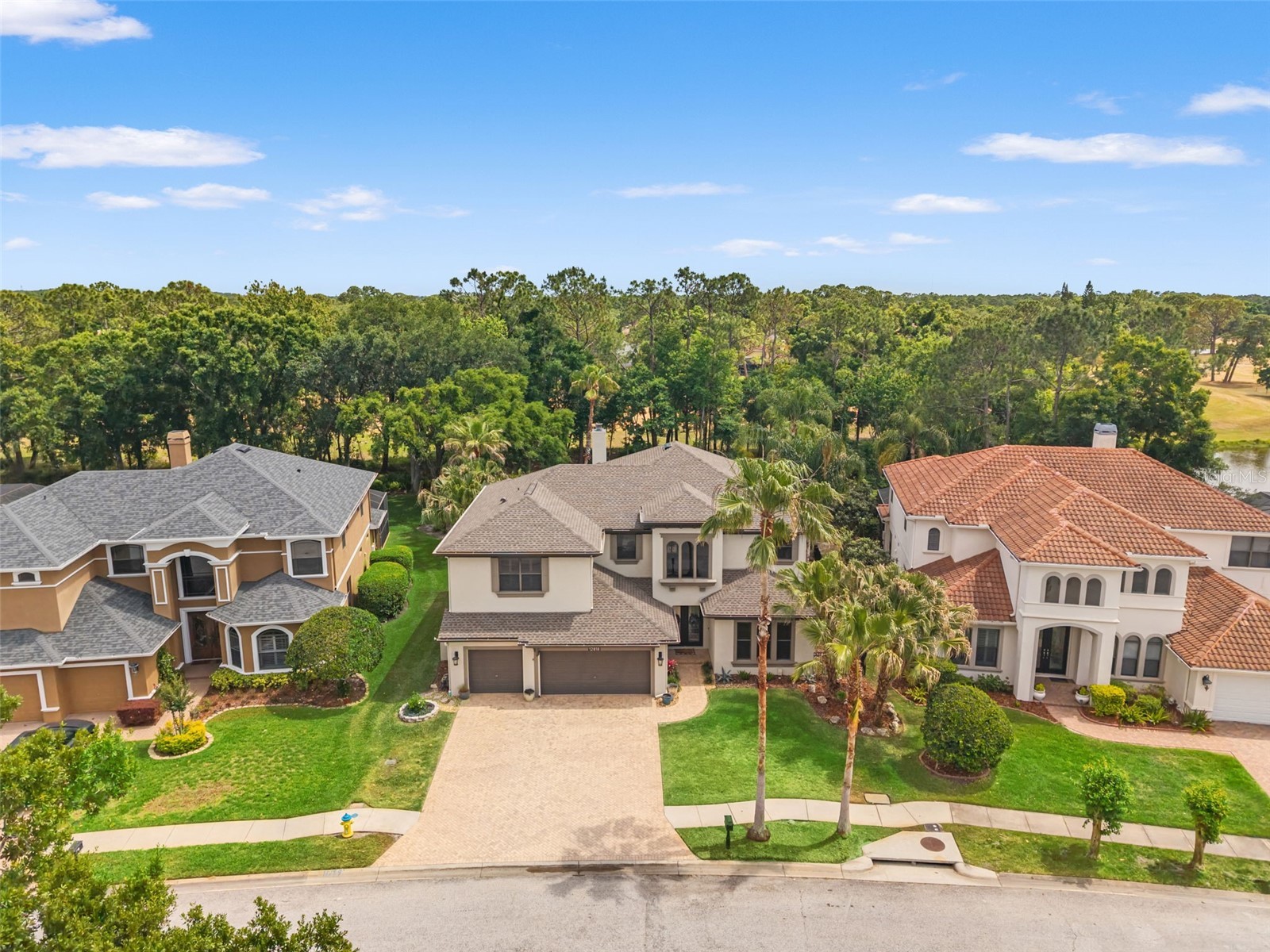 12818 Eagles Entry Drive Odessa FL 33556 TB8501929 image2