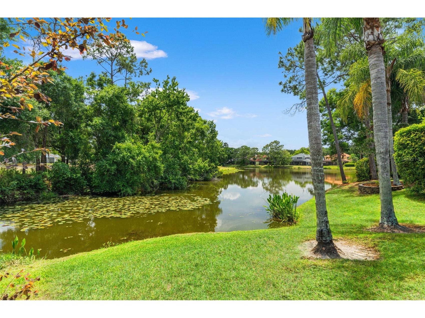 12818 Eagles Entry Drive Odessa FL 33556 TB8501929 image58