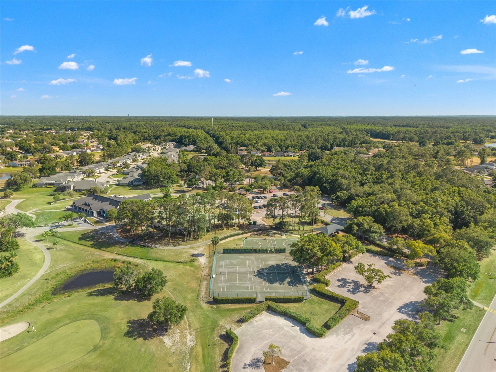 12818 Eagles Entry Drive Odessa FL 33556 TB8501929 image59