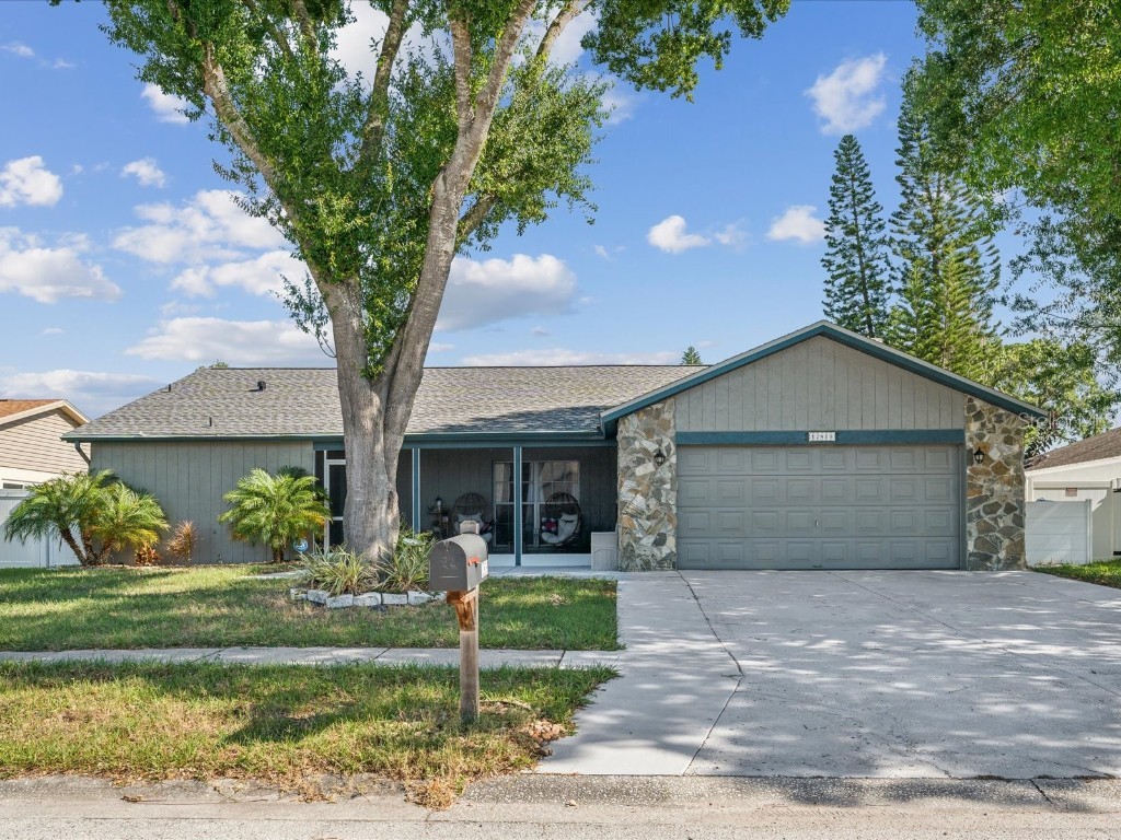 12819 Tallowood Drive Riverview FL 33579 T3521520 image1