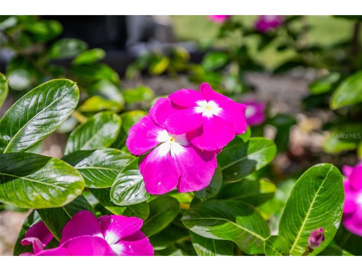 1282 Clearview Drive Port Charlotte FL 33953 A4663891 image57