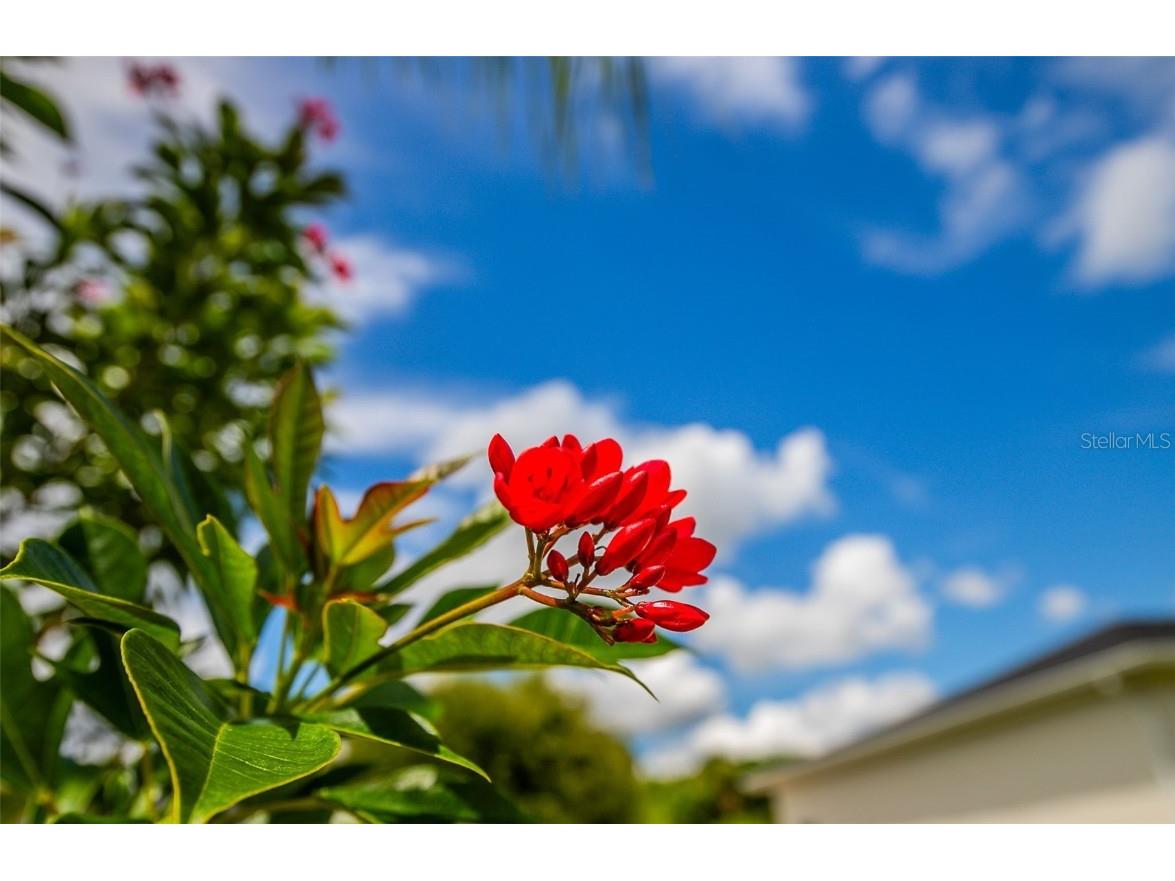 1282 Clearview Drive Port Charlotte FL 33953 A4663891 image58