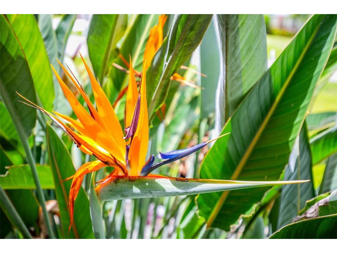 1282 Clearview Drive Port Charlotte FL 33953 A4663891 image59