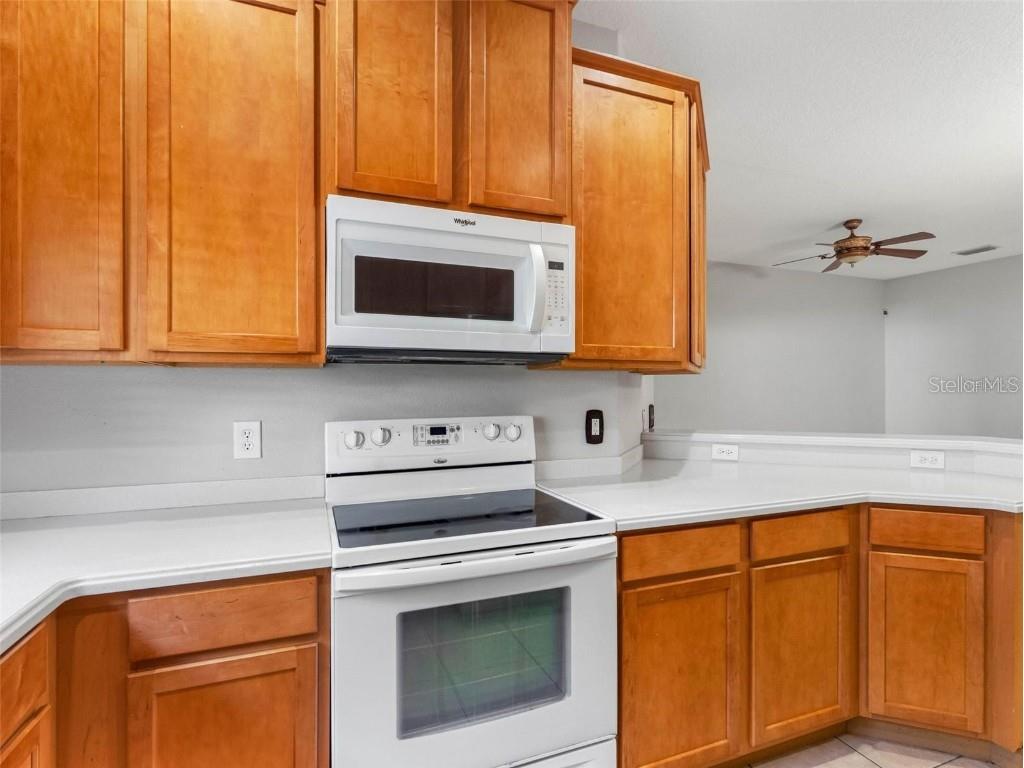 12820 Belvedere Song Way Riverview FL 33578 TB8422051 image8