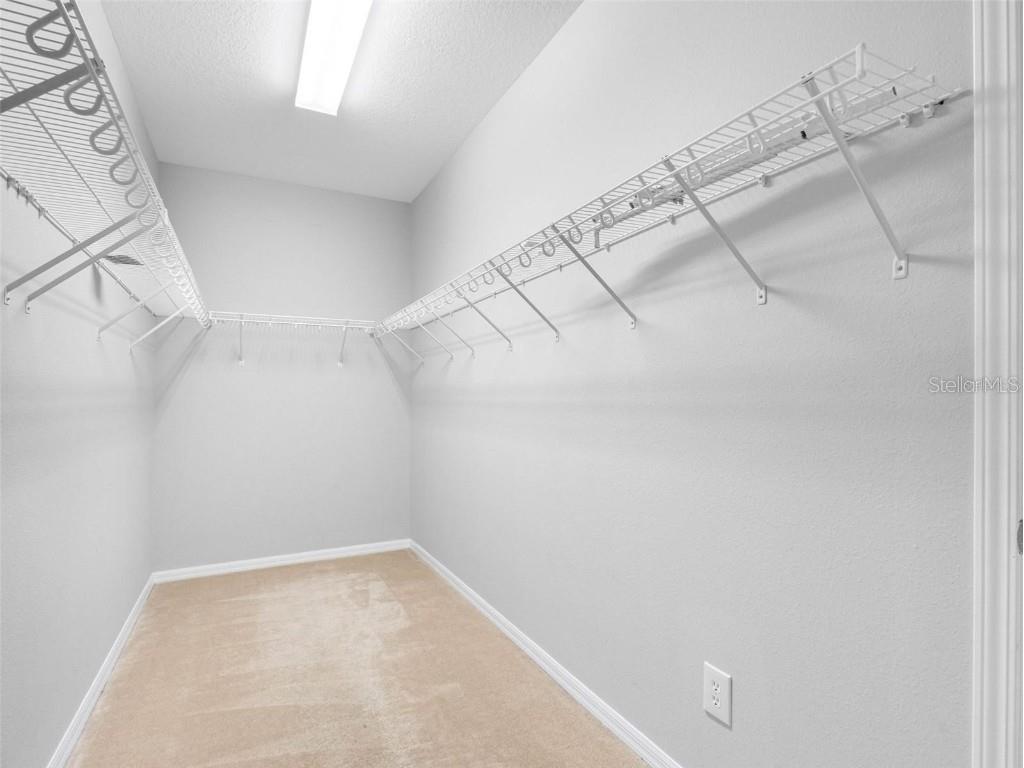 12820 Belvedere Song Way Riverview FL 33578 TB8435209 image24