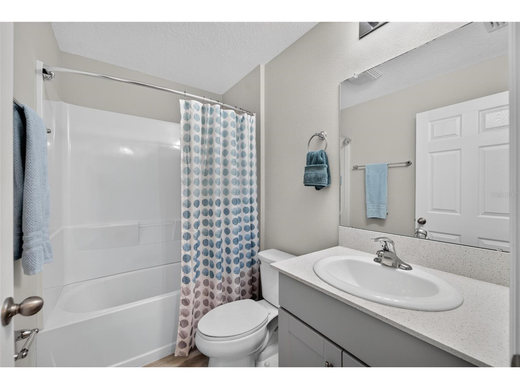 12820 Bent Twig Drive Riverview FL 33579 TB8529006 image42
